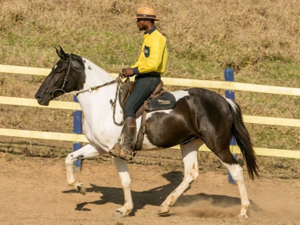 Foto
