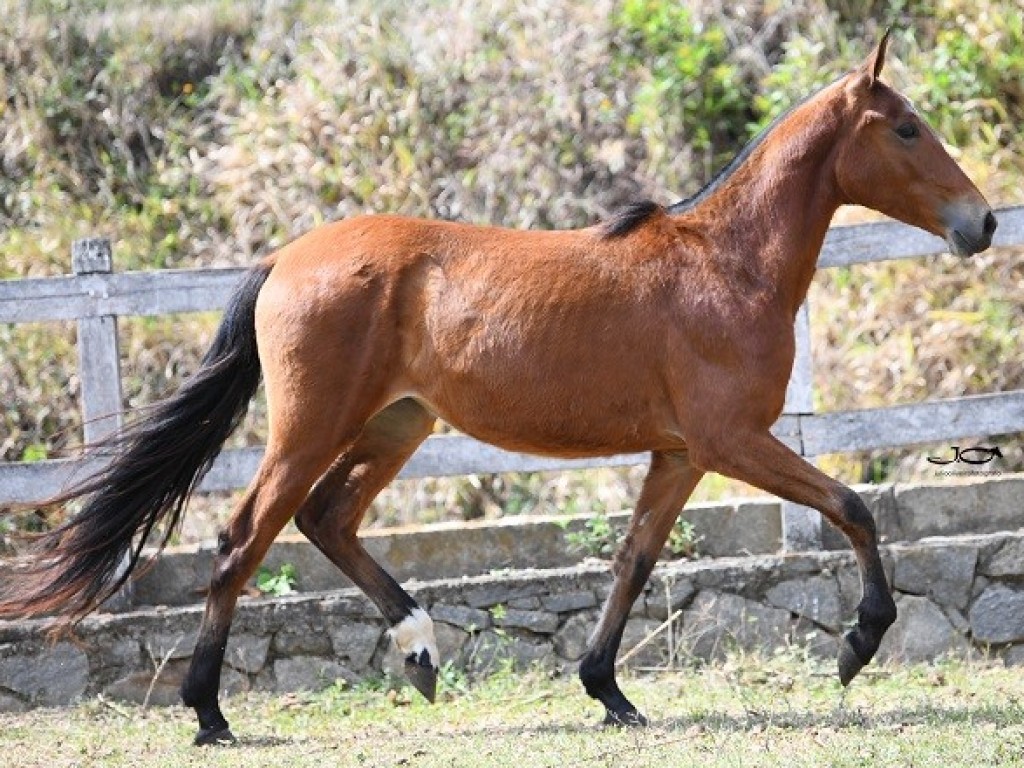 Yosh ogay onalar bilan rus pornosini tomosha qiling