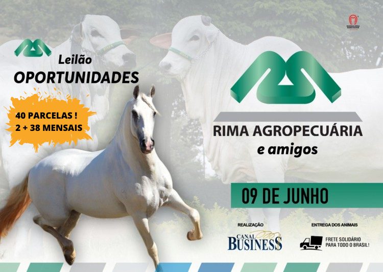 Agenda