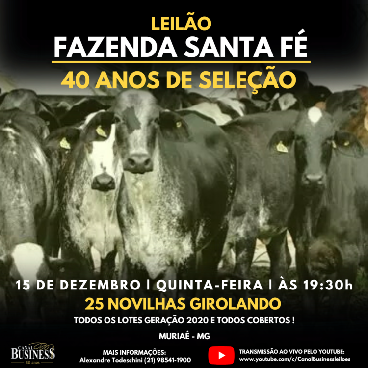 Agenda