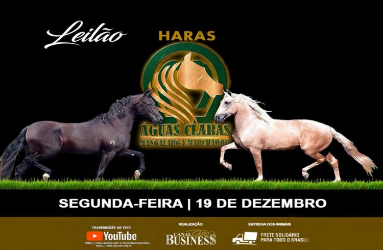 Agenda