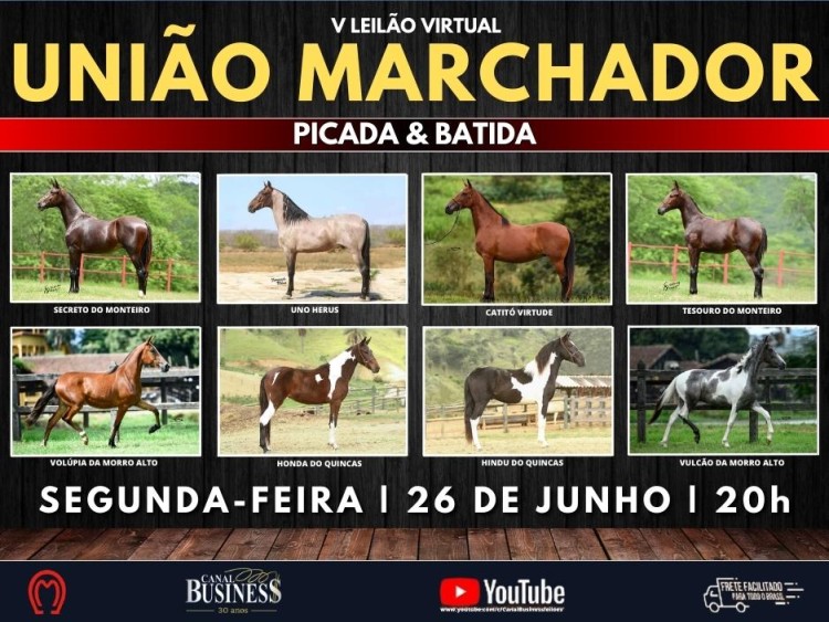 Ourofino em Campo” estreia no Canal Rural, Canal do Criador e Lance Rural