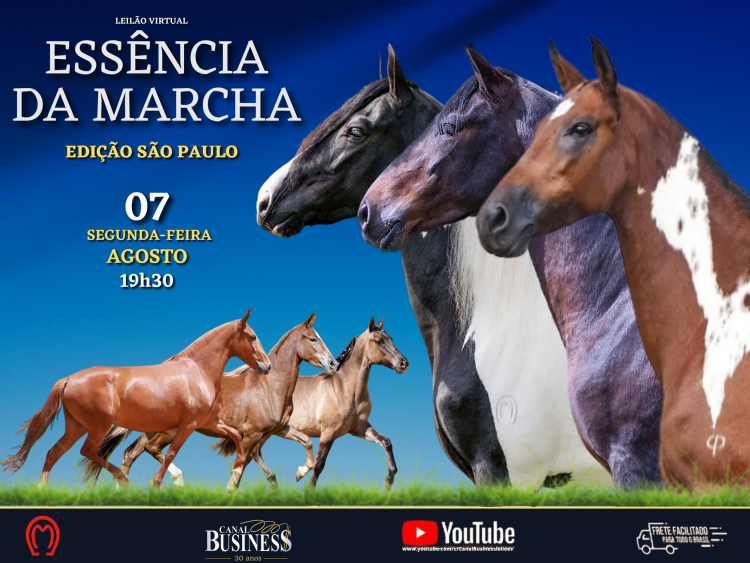 Agenda