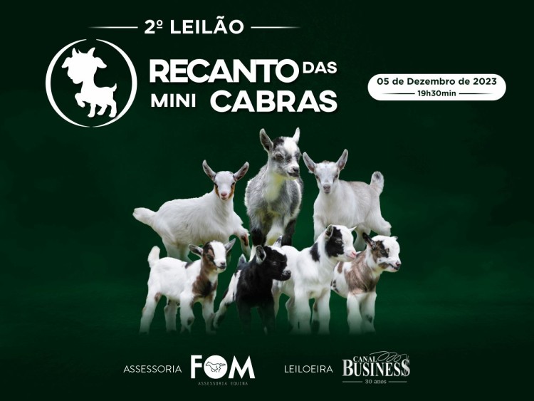 Agenda
