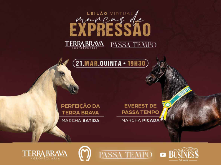 Agenda