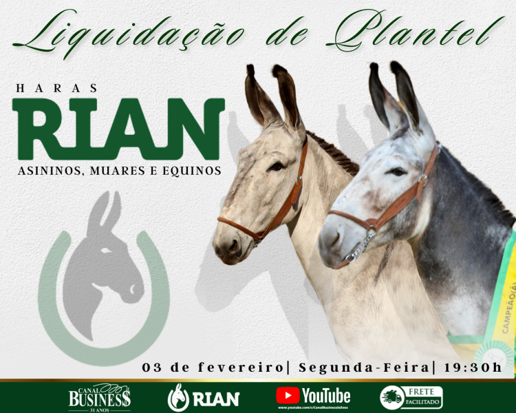 Agenda