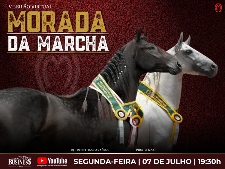 Agenda