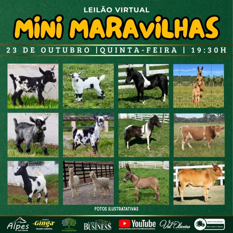 Agenda