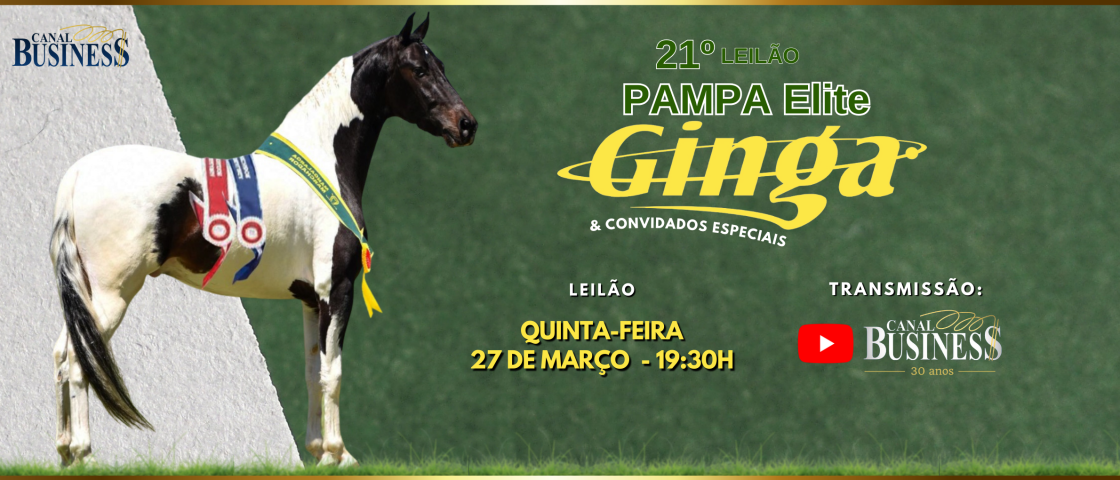 Slide 21° LEILÃO ELITE PAMPA GINGA
