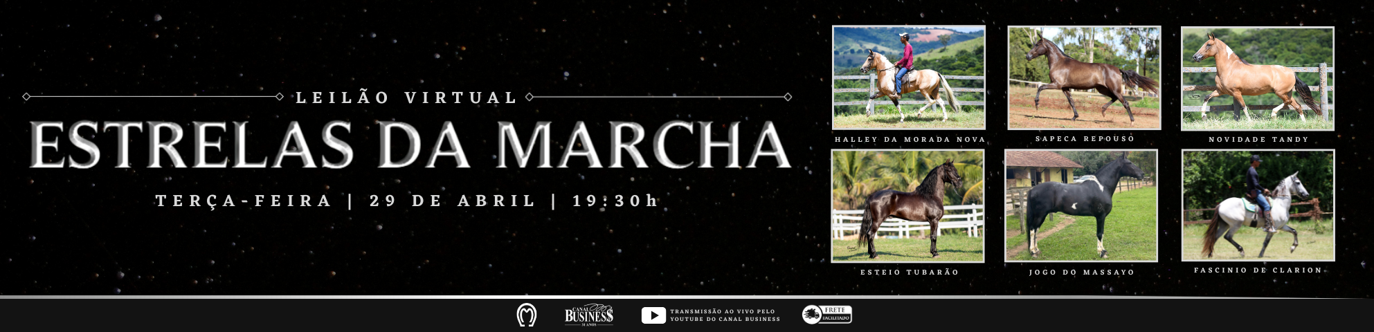 Slide LEILÃO VIRTUAL ESTRELAS DA MARCHA