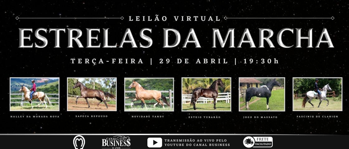Slide LEILÃO VIRTUAL ESTRELAS DA MARCHA
