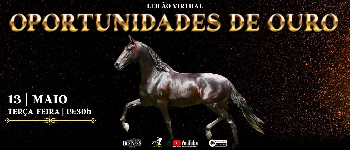 Slide LEILÃO VIRTUAL SELA DE OURO
