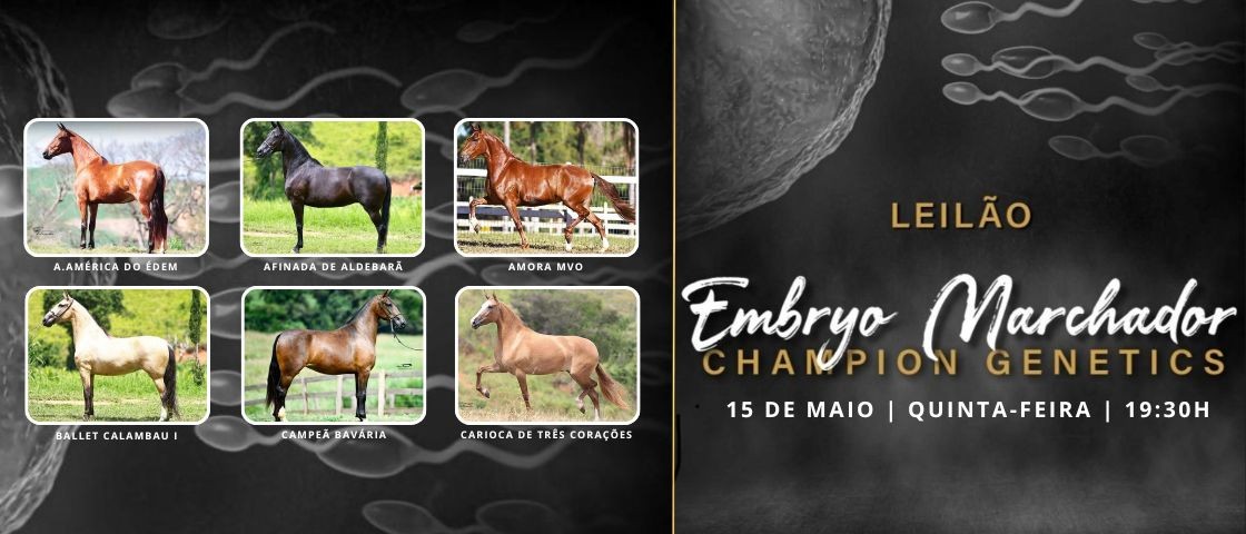 Slide LEILÃO EMBRYO