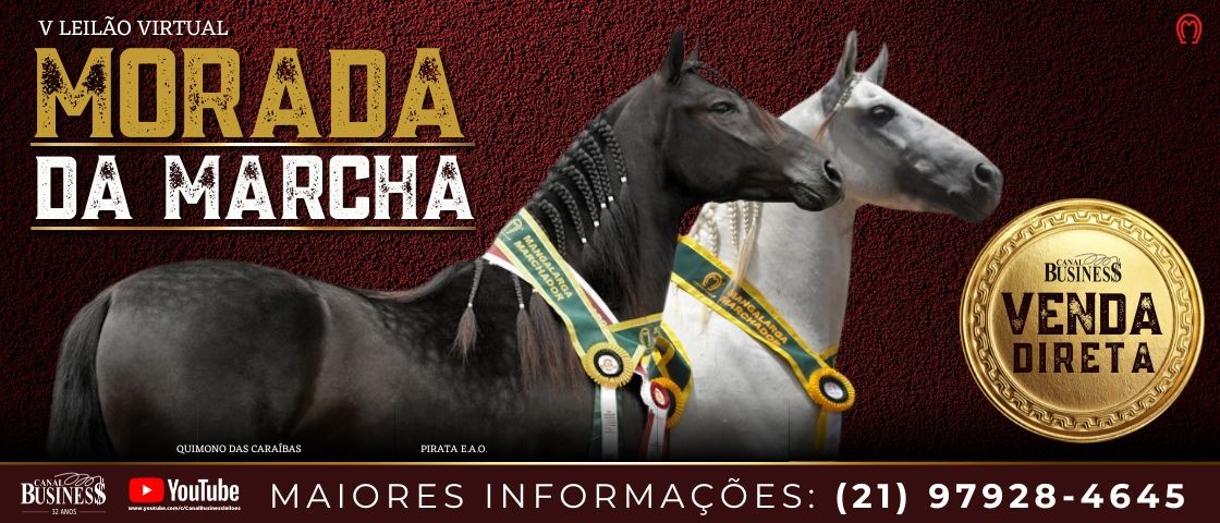 Slide V LEILÃO VIRTUAL MORADA DA MARCHA