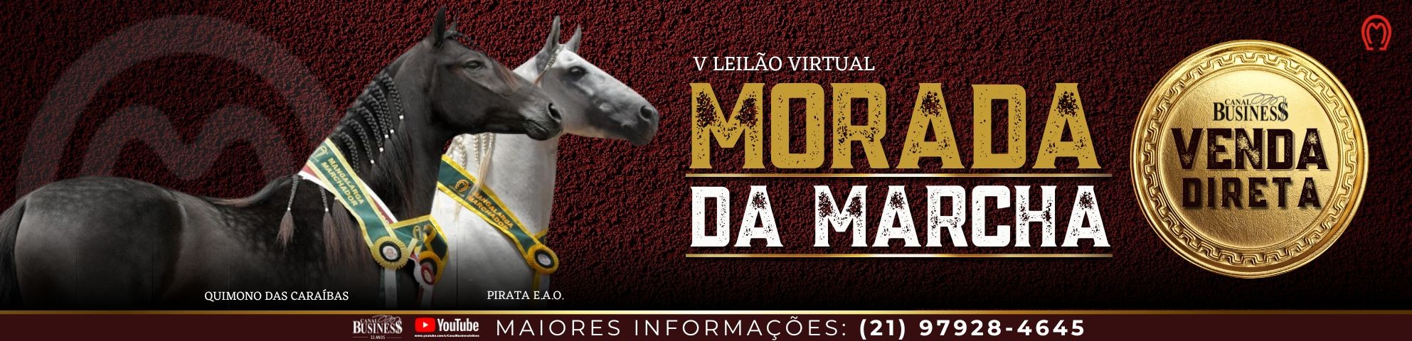 Slide V LEILÃO VIRTUAL MORADA DA MARCHA