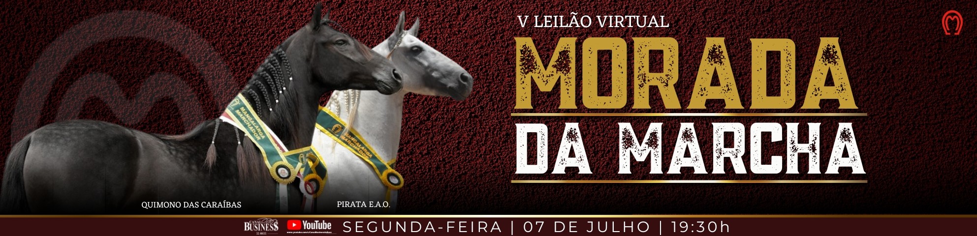 Slide V LEILÃO VIRTUAL MORADA DA MARCHA