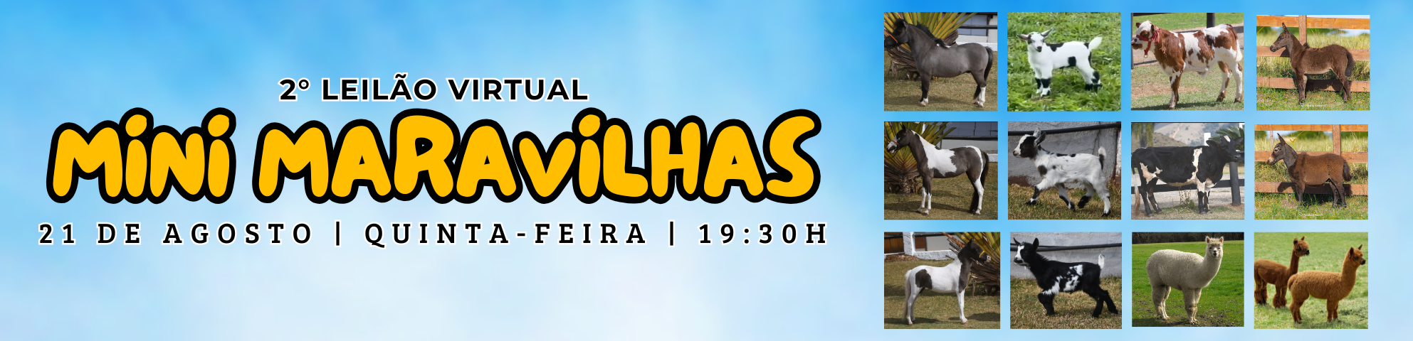 Slide MINI MARAVILHAS