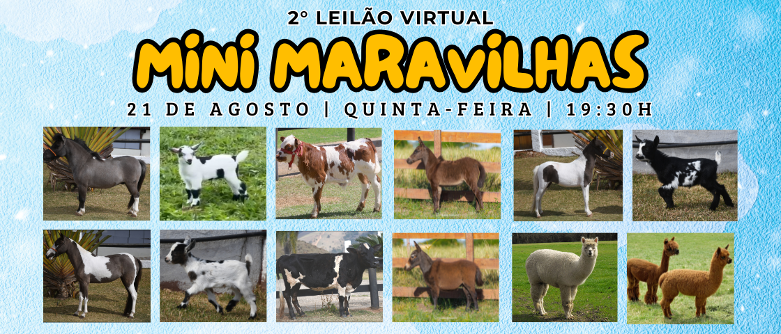 Slide MINI MARAVILHAS