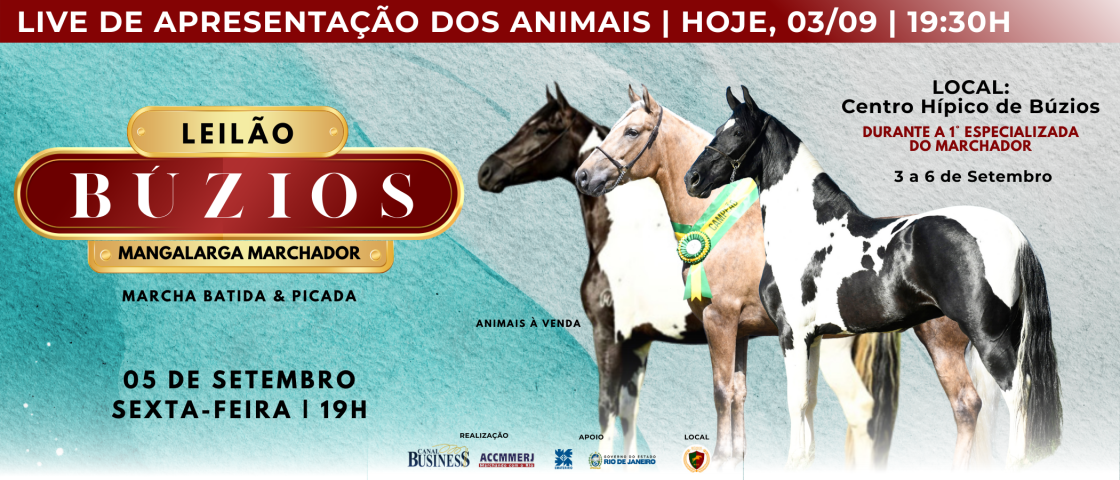 Slide LIVE DE APRESENTAÇÃO - BÚZIOS
