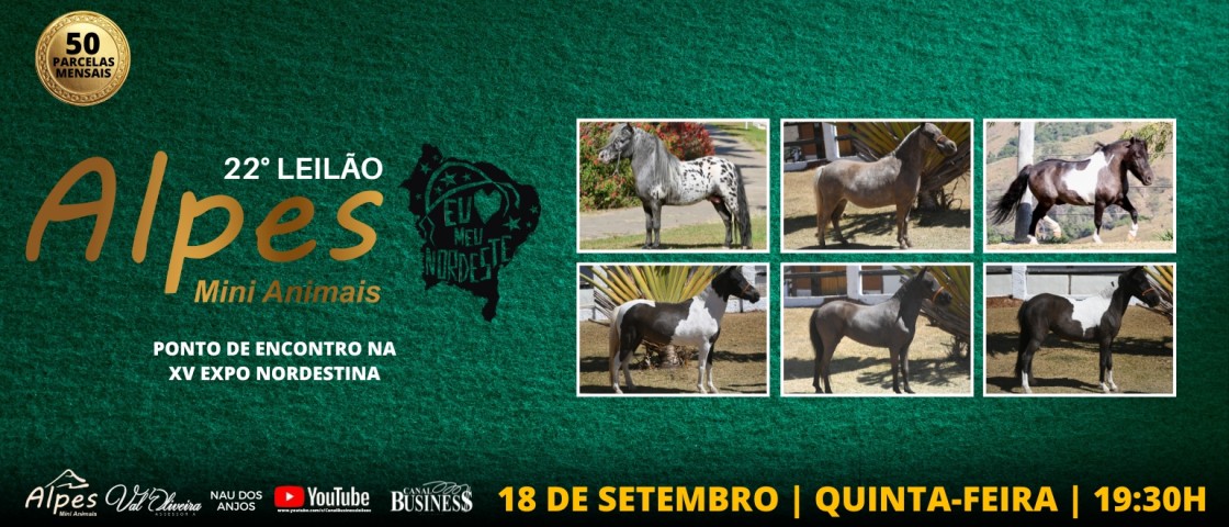 Slide 22° LEILÃO VIRTUAL ALPES