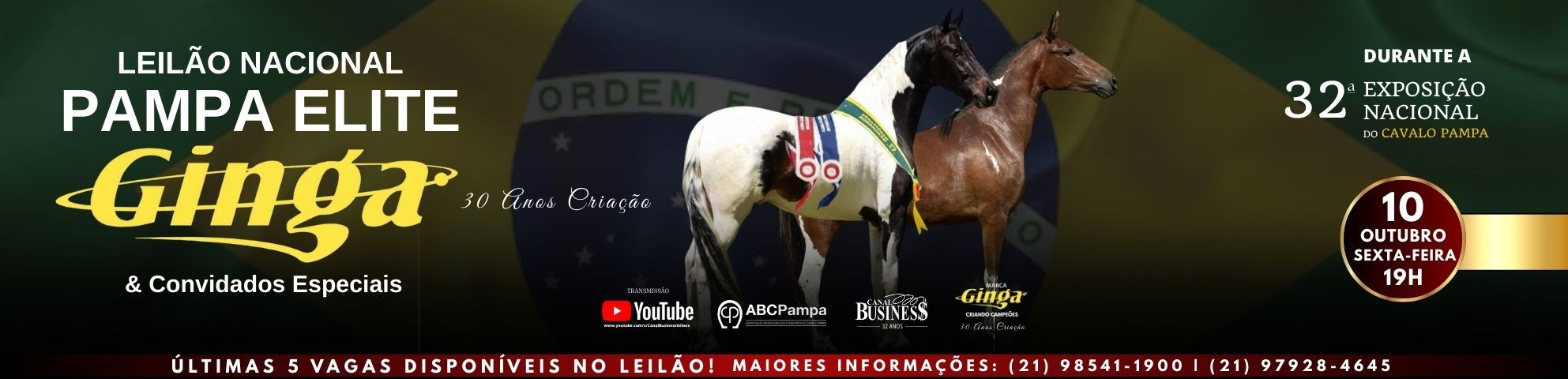 Slide LEILÃO NACIONAL PAMPA ELITE GINGA