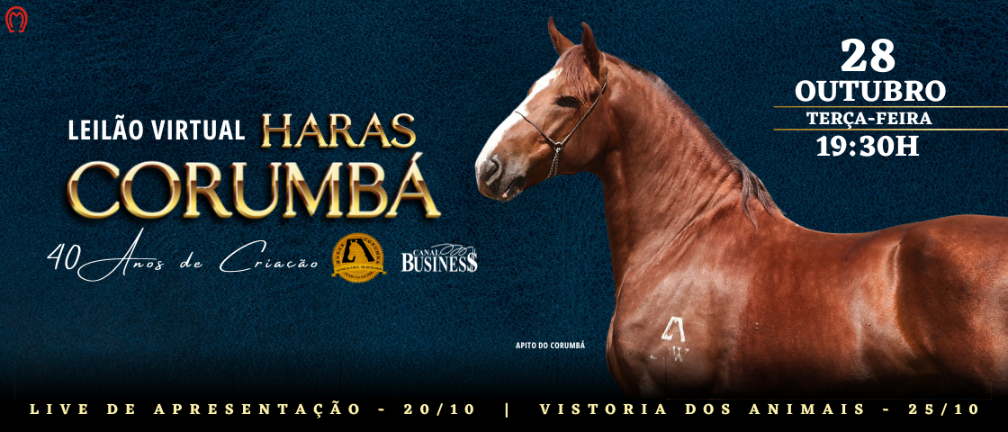 Slide LEILÃO VIRTUAL HARAS CORUMBÁ