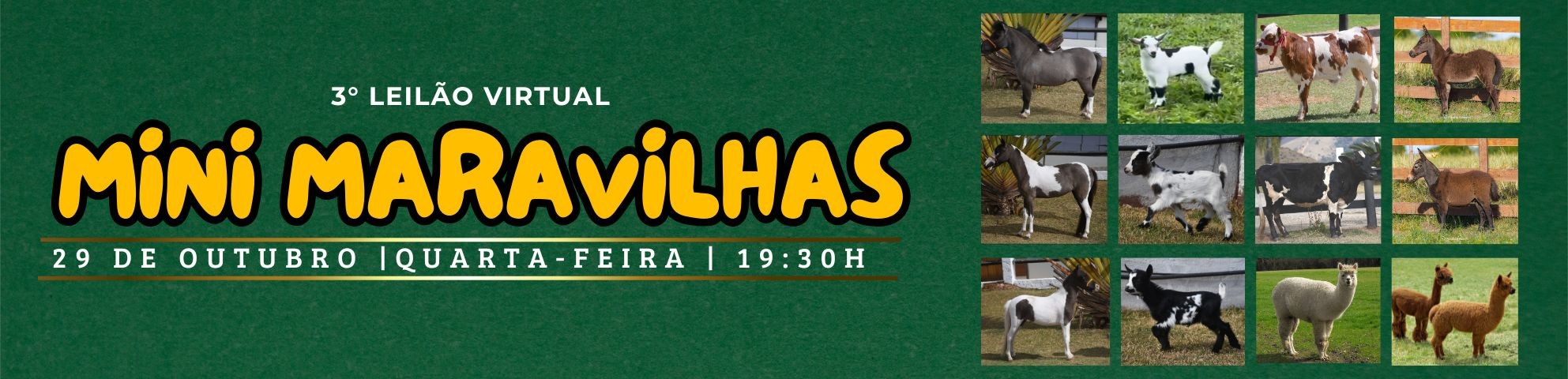 Slide 3° LEILÃO VIRTUAL MINI MARAVILHAS