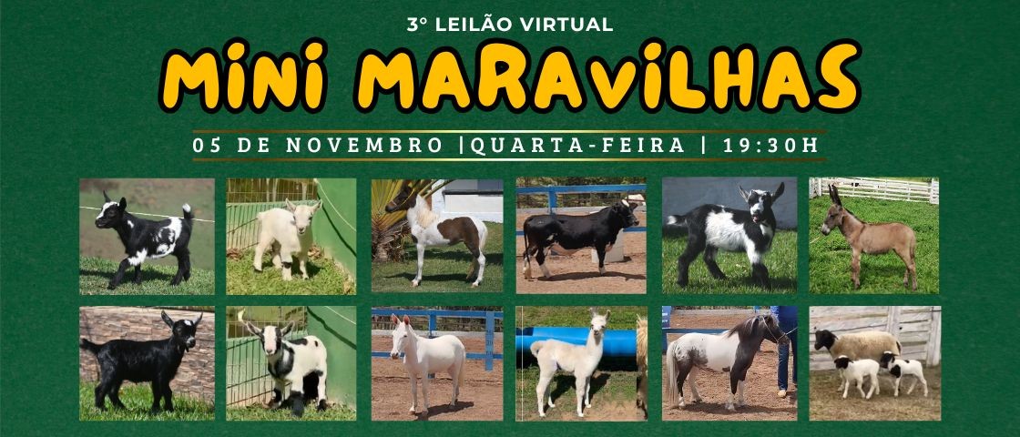 Slide 3° LEILÃO VIRTUAL MINI MARAVILHAS