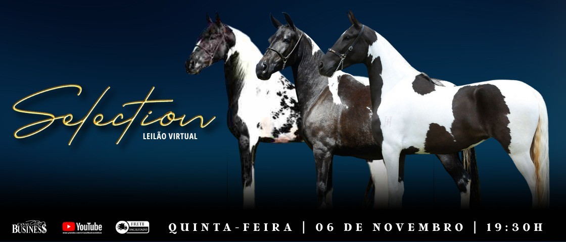 Slide LEILÃO VIRTUAL SELECTION