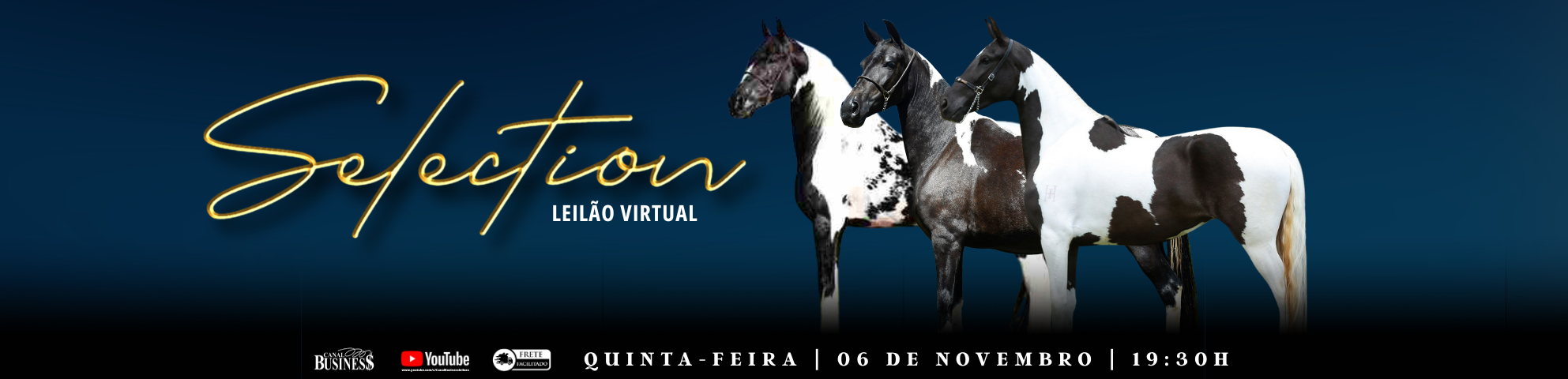 Slide LEILÃO VIRTUAL SELECTION