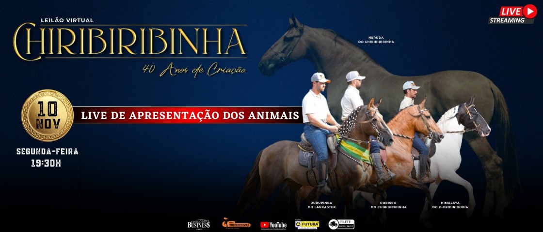 Slide LIVE DE APRESENTAÇÃO - CHIRIBA