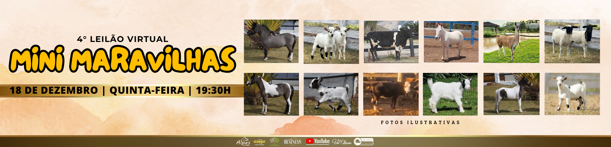 Slide 4° LEILÃO VIRTUAL MINI MARAVILHAS