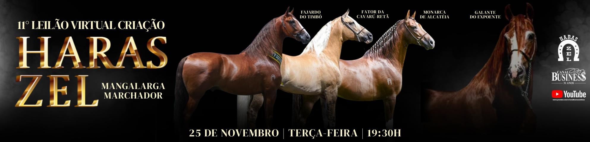 Slide 12° LEILÃO VIRTUAL HARAS ZEL