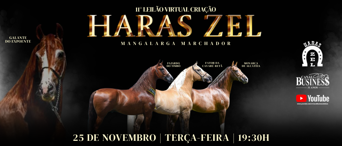 Slide 12° LEILÃO VIRTUAL HARAS ZEL