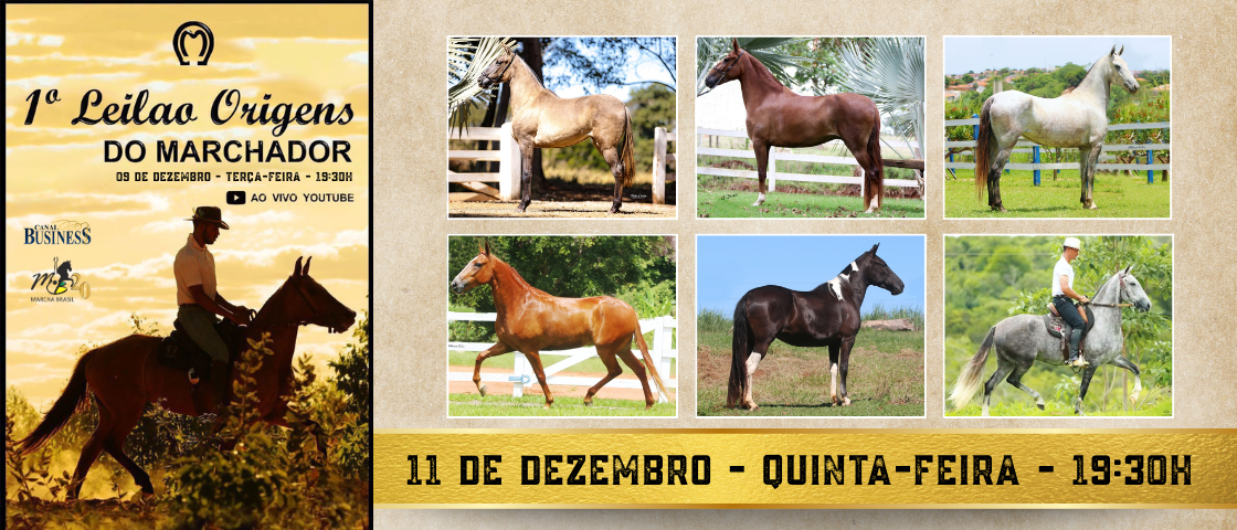 Slide LEILÃO VIRTUAL ORIGENS MARCHADOR