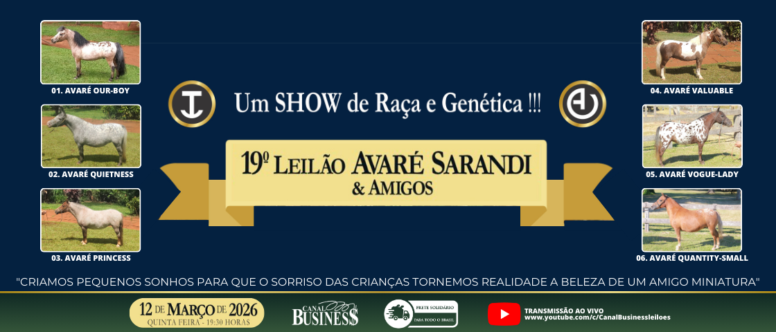 Slide 19° LEILAO AVARE, SARANDI E AMIGOS